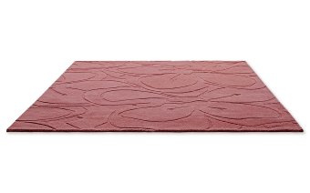 Dywan Ted Baker Romantic Magnolia Różowy 162702