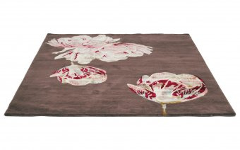Dywan Ted Baker Tranquility Aubergine 56005