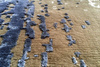Serge Lesage Used Toffee Carpet