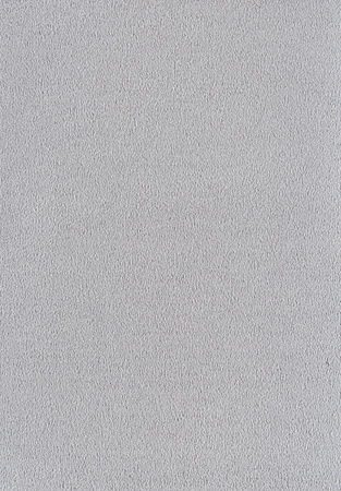 SmartStrand Sofia SOK carpeting.0870