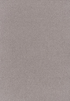SmartStrand Sofia SOK carpeting.0430