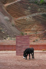Nanimarquina Colorado Clay Carpet