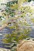 Sanderson ANCIENT CANOPY FOREST GREEN carpet 146708