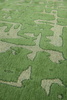 Louis de Poortere Baobab Perrier's Green carpet 9202