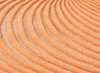 Gan Giro Peach rug 264 x 363