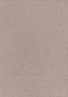SmartStrand Sofia SOK carpeting.0260