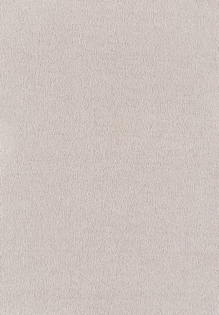 SmartStrand Sofia SOK carpeting.0240