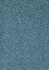 SmartStrand Lounge Carpet ZEO781
