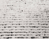 Serge Lesage Sutton Black & White Carpet