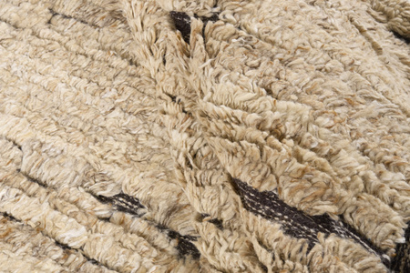 Dywan Landscape Straw Camel