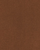 SmartStrand Lior USO carpeting.0311