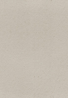 SmartStrand Celeste URO carpeting.0441