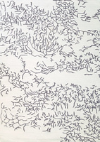 Toulemonde Bochart Nature Négatif carpet