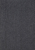 SmartStrand Lounge Carpet ZEO830
