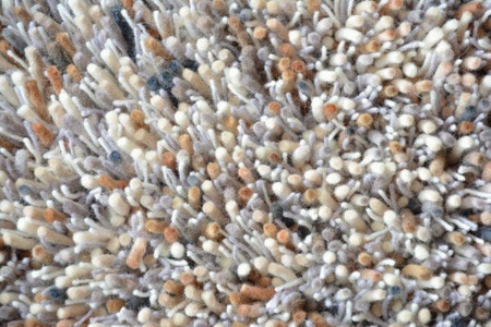 Brink&Campman Young carpet 061801
