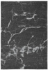 Carpet Decor Carrara Gray by Maciej ZIEŃ