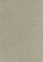 SmartStrand Sofia SOK carpeting.0460