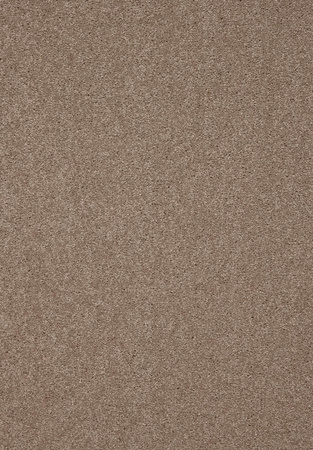 SmartStrand Lounge Carpet ZEO430