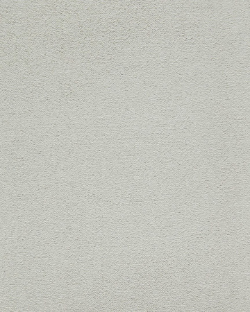 SmartStrand Lior USO carpeting.0880