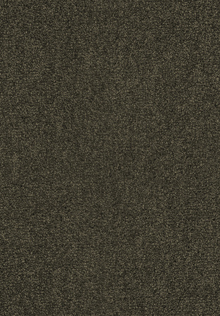 SmartStrand Lounge Carpet ZEO493