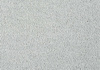 SmartStrand Lounge Carpet ZEO871