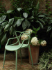 Masters Chair White 4 pieces