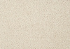 SmartStrand Lounge Carpet ZEO251