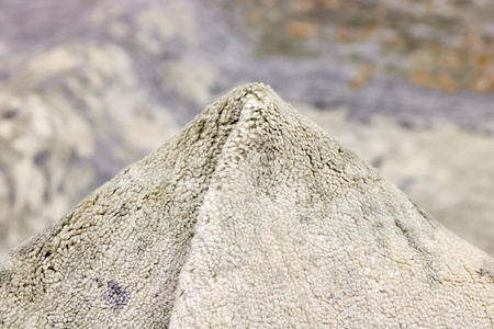 Rezas Attraction Carpet No. 1 8094