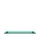 Shelfish Green